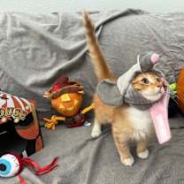 Thumbnail photo of Tonka #3