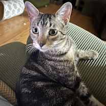 Thumbnail photo of Buddy #1