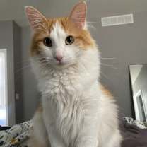 Thumbnail photo of Kiki #1