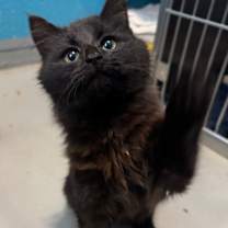 Thumbnail photo of Eleven #1