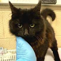 Thumbnail photo of Eleven #2