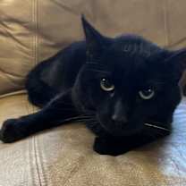 Thumbnail photo of Bear #3