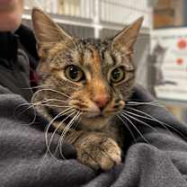 Thumbnail photo of Charlie  #2