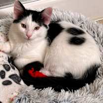 Thumbnail photo of Autumn #1