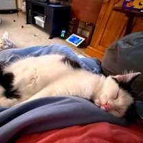 Thumbnail photo of Autumn #2