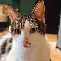 Thumbnail photo of Munch #1