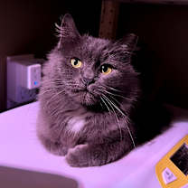 Thumbnail photo of Betty #3