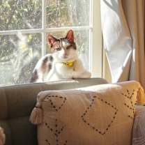 Thumbnail photo of Munch #2