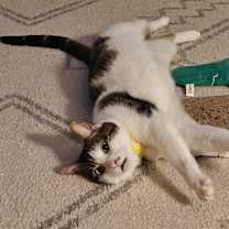 Thumbnail photo of Munch #3