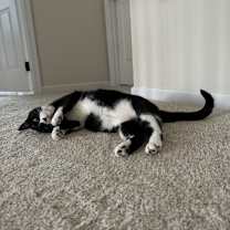 Thumbnail photo of Zoe #4