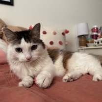 Thumbnail photo of Eli #4