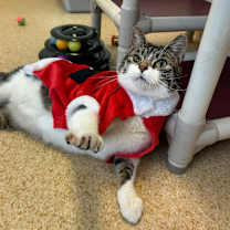 Thumbnail photo of Bingo #3