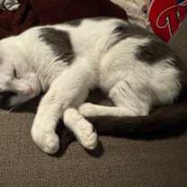 Thumbnail photo of Deacon #4