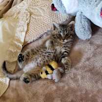 Thumbnail photo of Sasha    #2