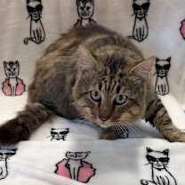 Thumbnail photo of Clarence #1