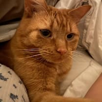 Thumbnail photo of Sparkle  #4