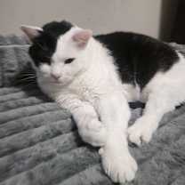 Thumbnail photo of Luna #1