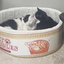 Thumbnail photo of Luna #3