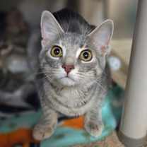 Thumbnail photo of Olivia #1