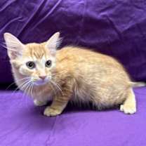 Thumbnail photo of John Ed #1