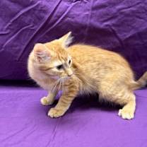 Thumbnail photo of John Ed #2