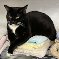 Thumbnail photo of Dorothy #1