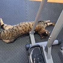 Thumbnail photo of Kilo #3