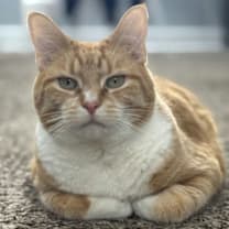 Thumbnail photo of Beatbox #1