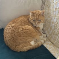 Thumbnail photo of Beatbox #2