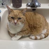 Thumbnail photo of Beatbox #3