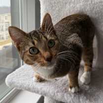 Thumbnail photo of Jelly of the Month Club #1