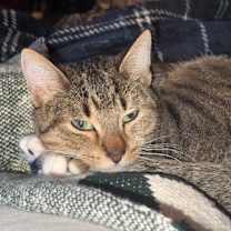 Thumbnail photo of Jelly of the Month Club #3