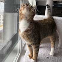 Thumbnail photo of Jelly of the Month Club #4