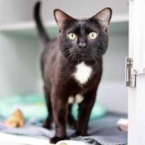 Thumbnail photo of Cold Brew #1