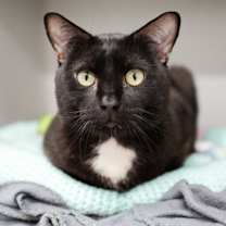 Thumbnail photo of Cold Brew #3