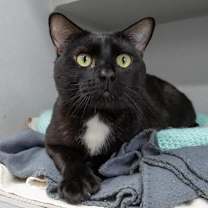 Thumbnail photo of Cold Brew #4