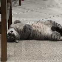 Thumbnail photo of Blue #2