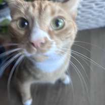 Thumbnail photo of Sunny #1