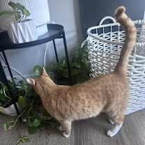 Thumbnail photo of Sunny #2