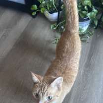 Thumbnail photo of Sunny #3