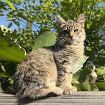 Thumbnail photo of Marc #1