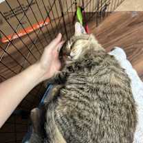 Thumbnail photo of Marc #2