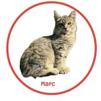 Thumbnail photo of Marc #3