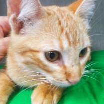 Thumbnail photo of Jerry #3