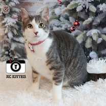 Thumbnail photo of Poonum #2