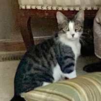 Thumbnail photo of Riley #2