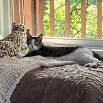 Thumbnail photo of Riley #4