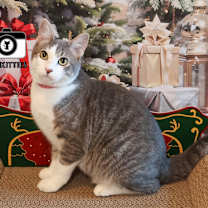 Thumbnail photo of Poonum #4