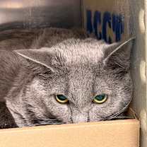 Thumbnail photo of Drew #2