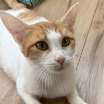 Thumbnail photo of Puzzle #2